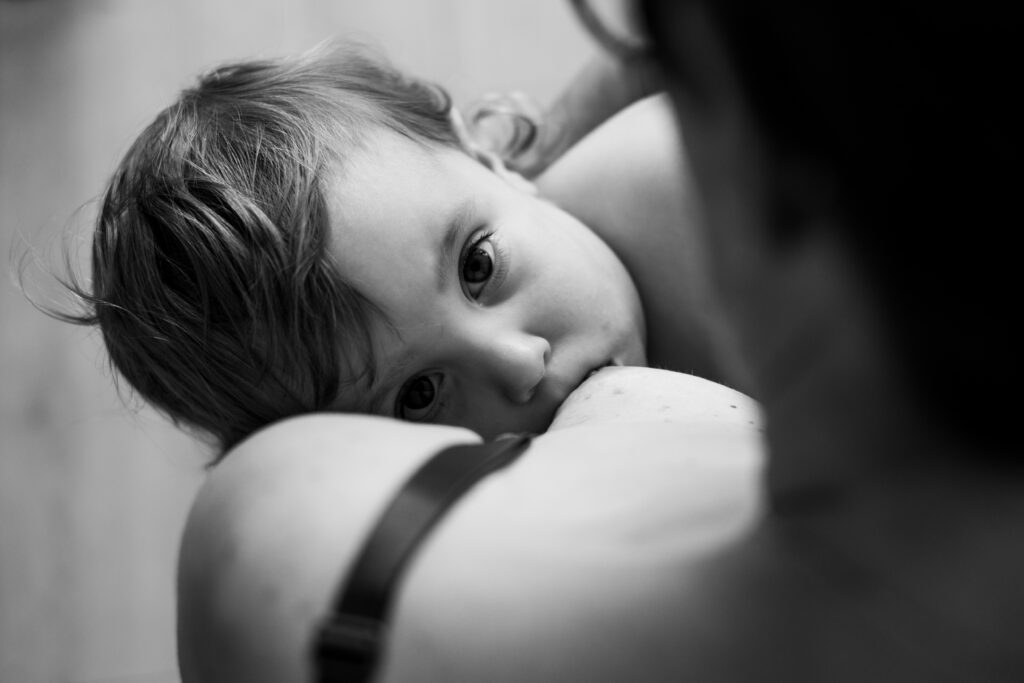 bébé allaité - audrey guyon - photographe manche